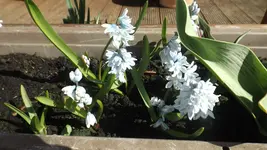 DSCF0960.webp