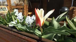 DSCF0961.webp