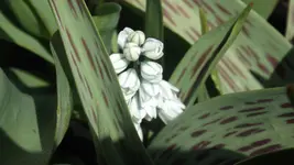 DSCF0965.webp