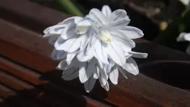 DSCF0966.webp