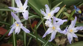 DSCF0978.webp