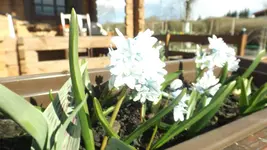 DSCF1038.webp