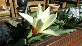DSCF1031.webp
