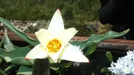 DSCF1033.webp
