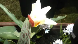 DSCF1034.webp