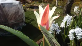 DSCF1035.webp