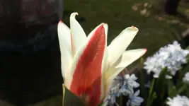 DSCF1036.webp