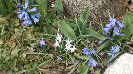 DSCF0976.webp