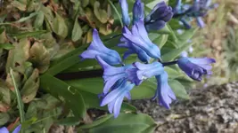 DSCF0977.webp