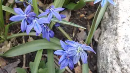 DSCF0979.webp