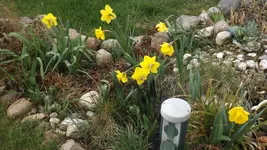 DSCF0987.webp