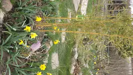 DSCF0988.webp