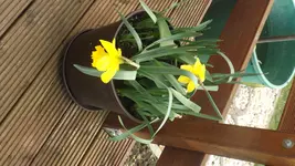 DSCF0991.webp