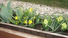 DSCF0992.webp