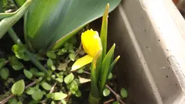 DSCF0994.webp