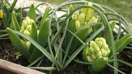 DSCF0995.webp