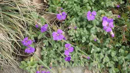 DSCF0989.webp