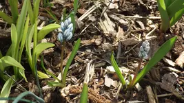 DSCF1004.webp