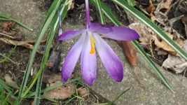 DSCF1013.webp