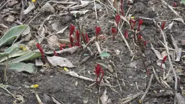 DSCF1014.webp