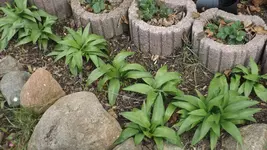 DSCF0997.webp