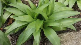 DSCF0998.webp