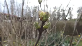 DSCF1027.webp