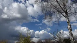 DSCF1028.webp