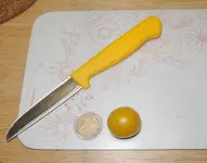 DSCN4930.2.webp