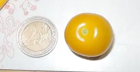 DSCN4932.2.webp