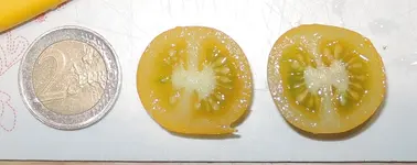 DSCN4954.2.webp