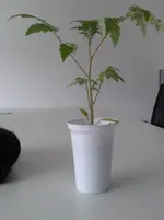 20150404_163323.webp