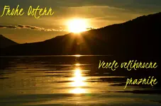 30.webp