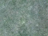 20150404_135422.webp