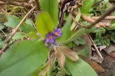 SAM_0477.webp