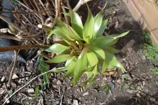 SAM_0480.webp