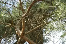 DSC03067.webp