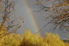 Regenbogen.webp