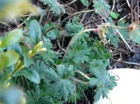DSCN7422.webp