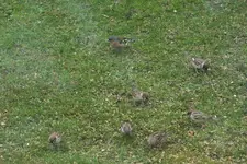 DSCF0478.webp