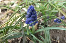 DSCF0465.webp