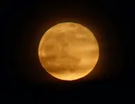 Vollmond 04.04 (2).webp