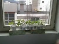 20150404_161835.webp