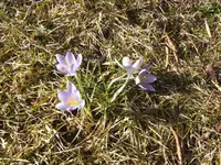 BILD3769.webp