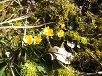 BILD3776.webp