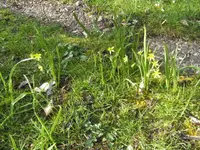 BILD3797.webp