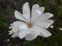 P1310339.webp