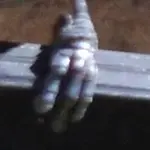 Alienfüßchen.webp