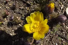 DSCF0462.webp