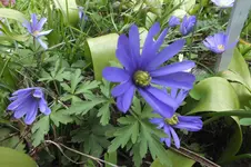 DSCF0506.webp